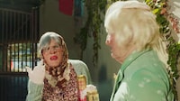 Wild Granny Campaigns Image 1