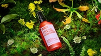 Anti-Deforestation Cosmetics Image 1