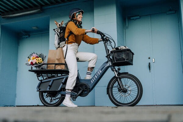 Car-Replacement E-Bikes