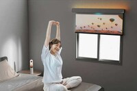 Advanced Multimedia Window Blinds Image 3