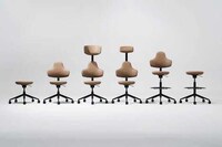 Shapeshifting Spine-Like Work Chairs Image 5