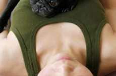 Doing Yoga With Your Dog