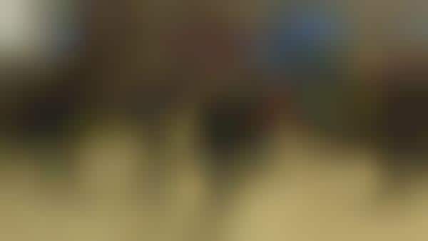 Sony Announces 3D Social Network 'HOME'