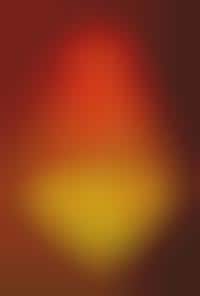 Thousands of Gummi Bears Used to Create Elaborate Chandelier