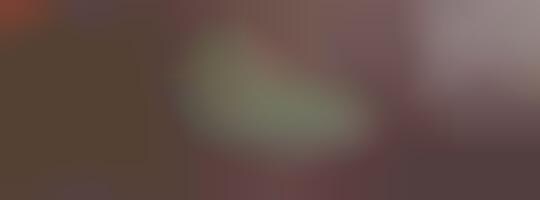 Customizable Sneakers