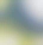 Roller Disco on the Rise