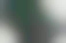 MiniC.A.T.