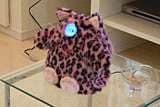 The Chapit Image 3