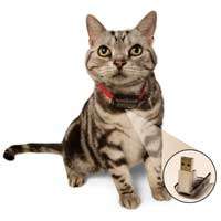 Gadgets for Pets Image 2