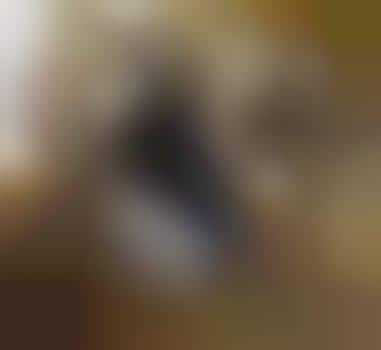 Personal Flight Vehicle Obsessions