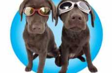 Doggles