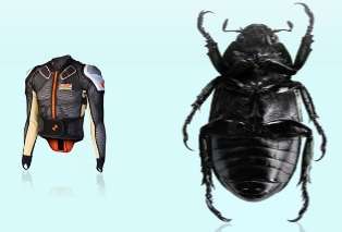 Beetle Inspired Body Armor