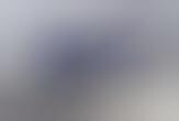 Trends In Shades Image 1