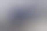 Trends In Shades