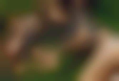Fashionable Nudetography