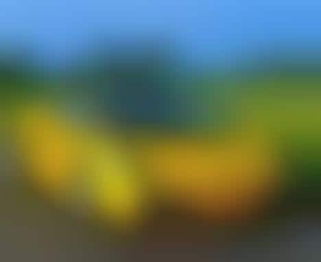 Green Exotic Cars