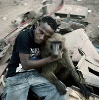 Monkey Companions Image 2