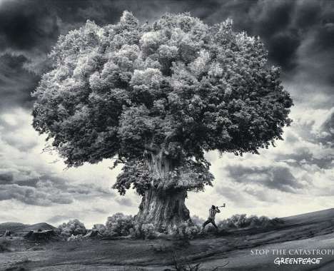 15 Nuclear Features