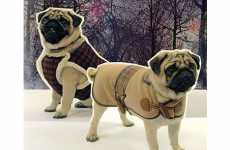 25 Human-Like Canine Fashions