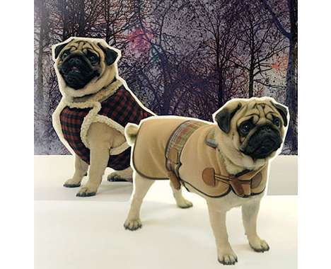 25 Human-Like Canine Fashions