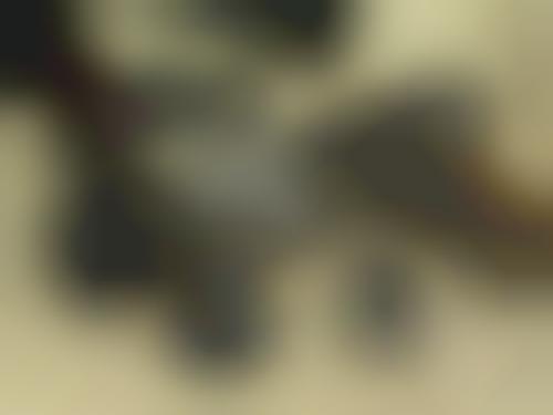 Pistol Cameras