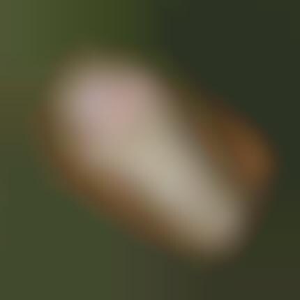 Baby Cocoons 