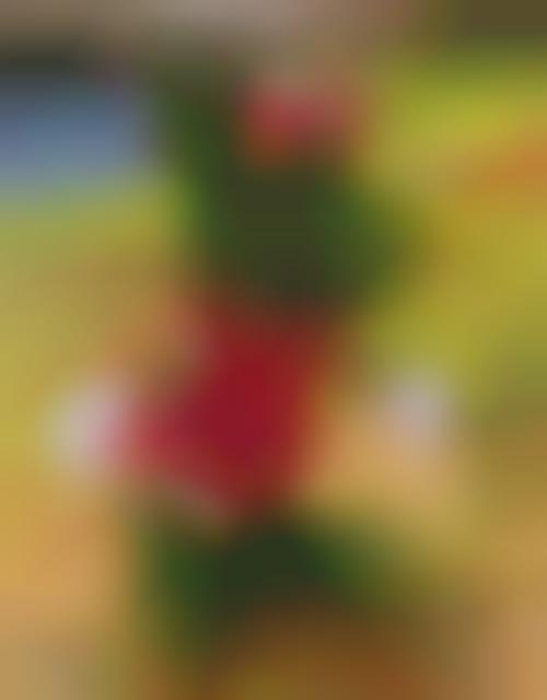 Cartoon Hedge Art