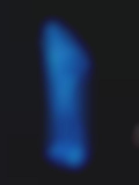 Bulb Bodies