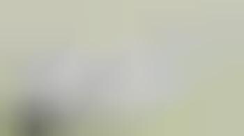 Comical Classified Ads