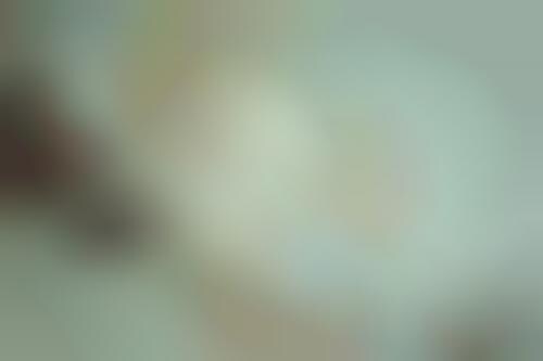 Head-Shaving Photo Shoots