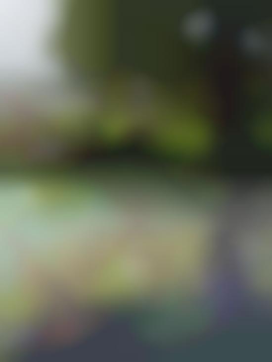 Remade Impressionist Images