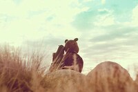 Lazy-tography Image 3