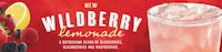 Refreshing Multi-Berry Lemonades Image 1
