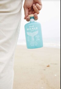 Eco-Conscious Gin Brands Image 7