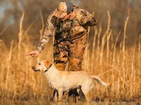 Powered Canine Training Systems