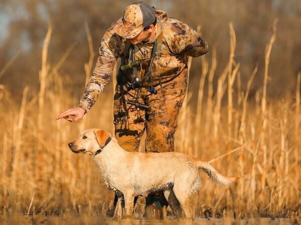Powered Canine Training Systems