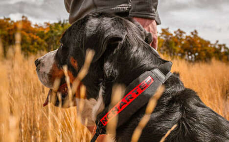 Pet-Catered First Aid Kits