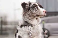 Scandinavian-Inspired Dog Collars