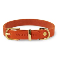 Scandinavian-Inspired Dog Collars Image 7