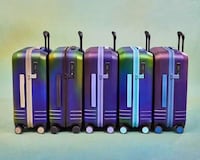 Beetle-Inspired Painted Lugagges Image 1