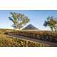 Conical Glass Pavilion Wineries Image 1