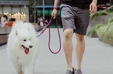 Ultra-Secure Dog Leashes
