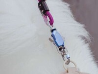 Ultra-Secure Dog Leashes Image 2
