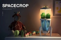 Plant-Friendly Night Lights