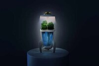 Plant-Friendly Night Lights Image 2