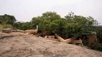 Snake-Resembling Sculptural Homes Image 3