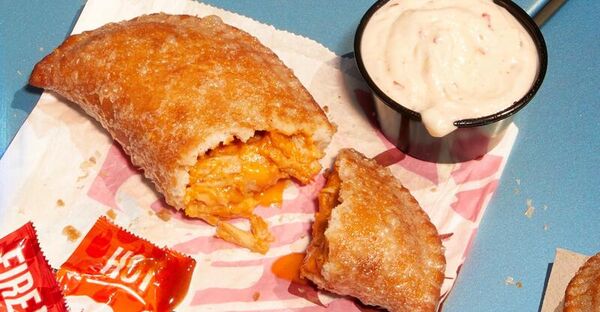 Crispy Chicken Empanadas