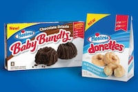 Mini Chocolate Bundt Cakes