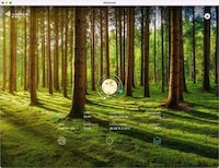 AI-Generated Soundscape Platforms
