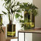 Chic Staggered Planters Image 1